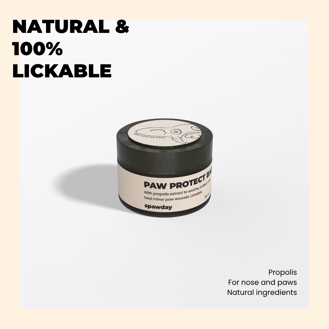 Product post for the paw protect balm on a peach frame: natural and 100% lickable