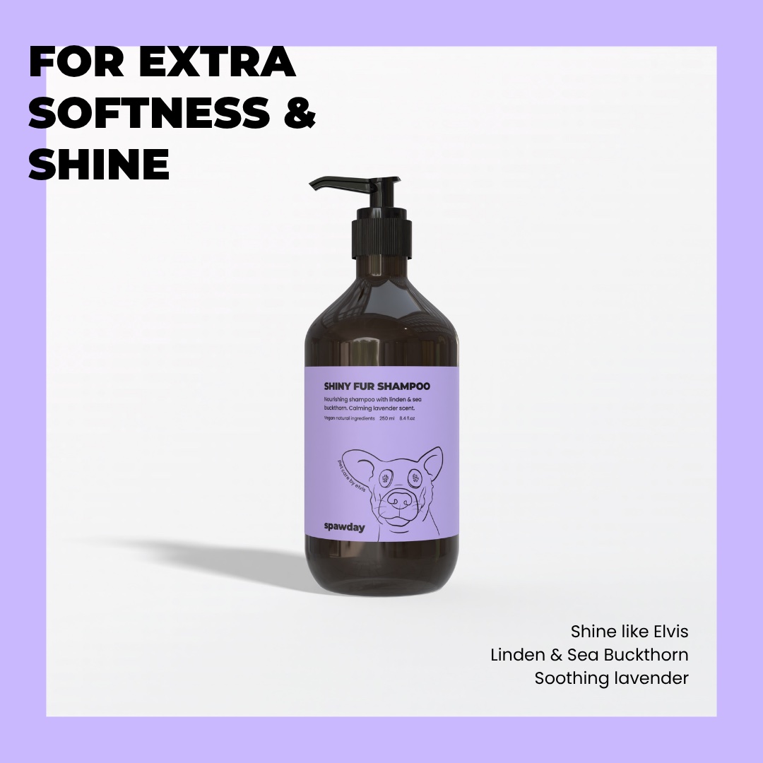 Product post for the shiny fur shampoo on a lilac frame: for extra softness and shine