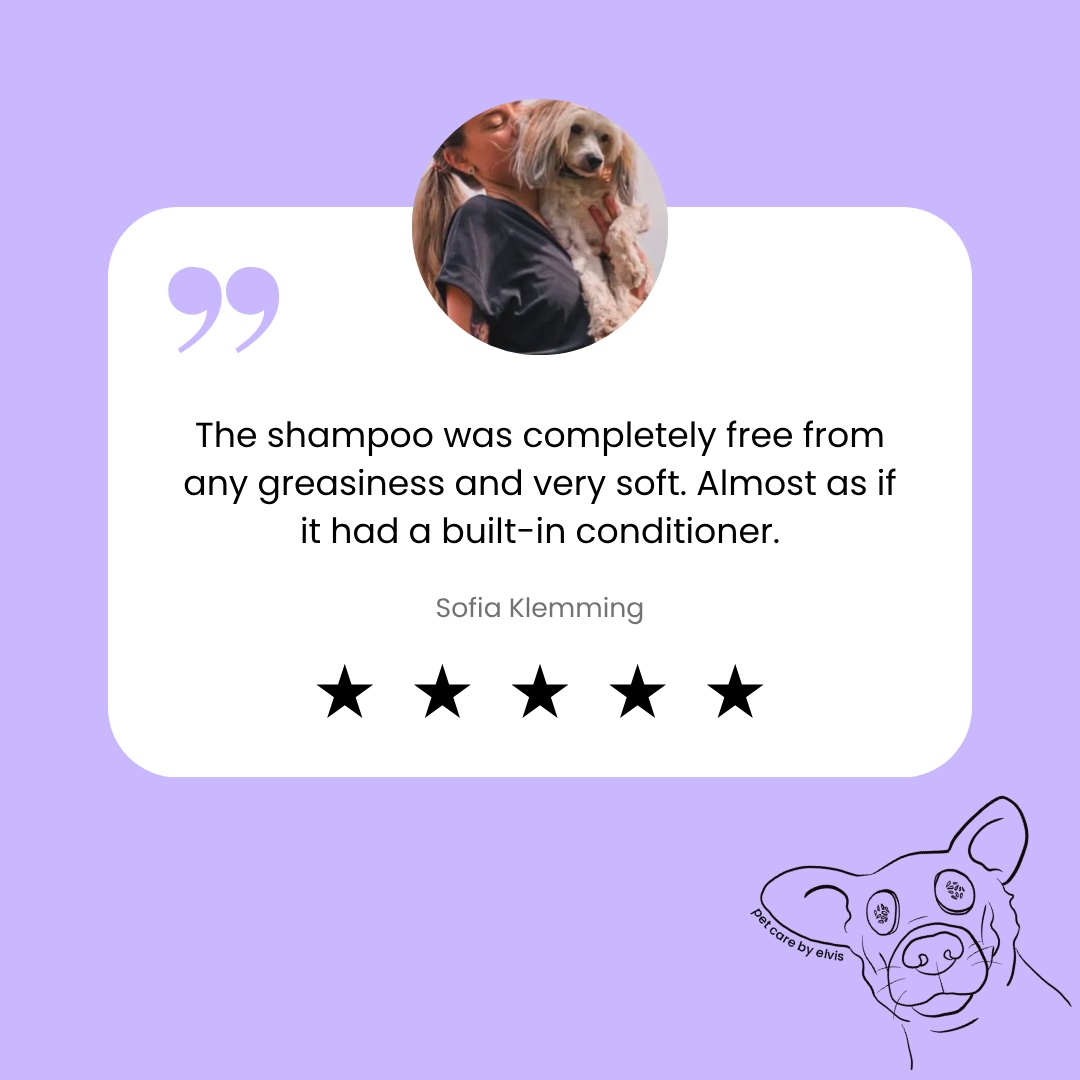 Testimonial post on lilac with a five-star review of the shampoo