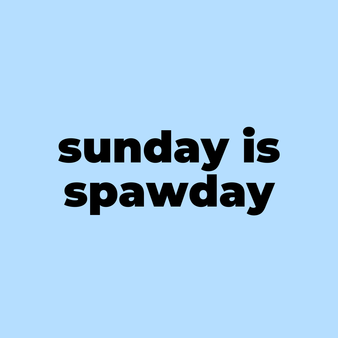 Text post: sunday is spawday, set on blue