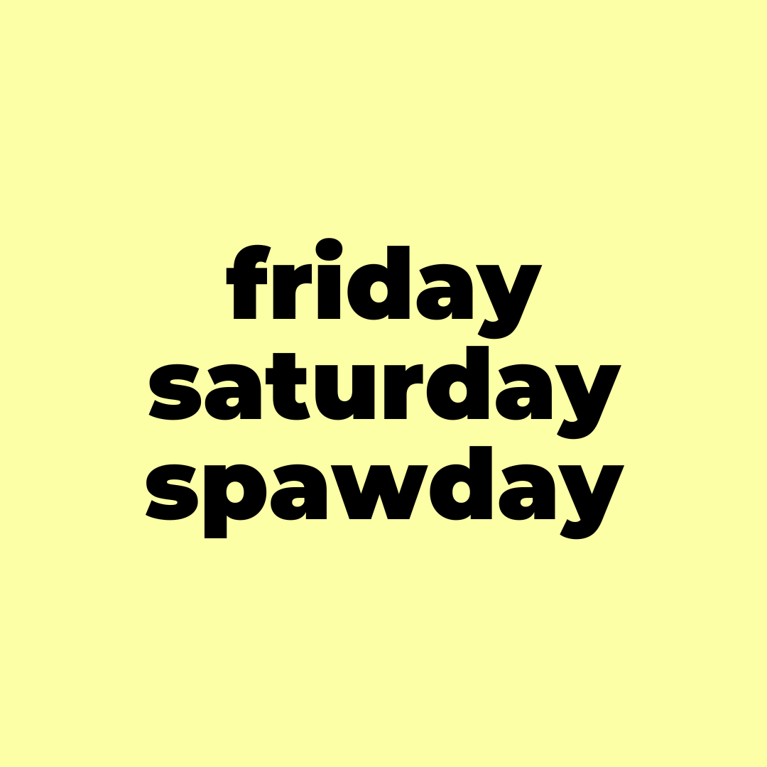 Text post: friday, saturday, spawday, set on yellow